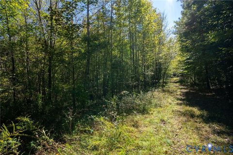 Tiny photo for 00 Beaver Dam Road, Beaverdam, VA 23015 (MLS # 2600532)
