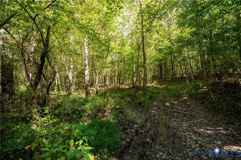 Tiny photo for 00 Beaver Dam Road, Beaverdam, VA 23015 (MLS # 2600532)