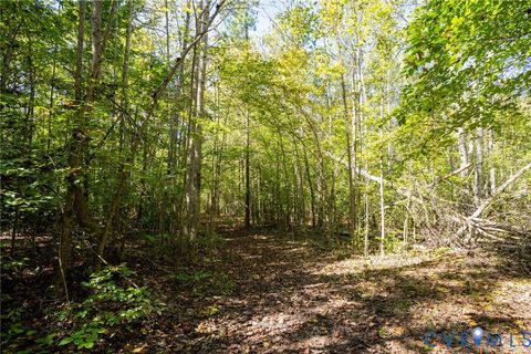Tiny photo for 00 Beaver Dam Road, Beaverdam, VA 23015 (MLS # 2600532)