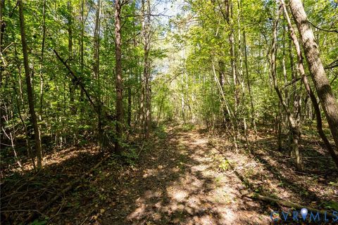 Tiny photo for 00 Beaver Dam Road, Beaverdam, VA 23015 (MLS # 2600532)