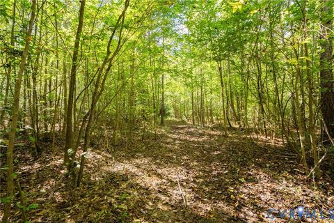 Tiny photo for 00 Beaver Dam Road, Beaverdam, VA 23015 (MLS # 2600532)