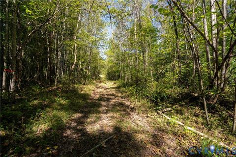Tiny photo for 00 Beaver Dam Road, Beaverdam, VA 23015 (MLS # 2600532)