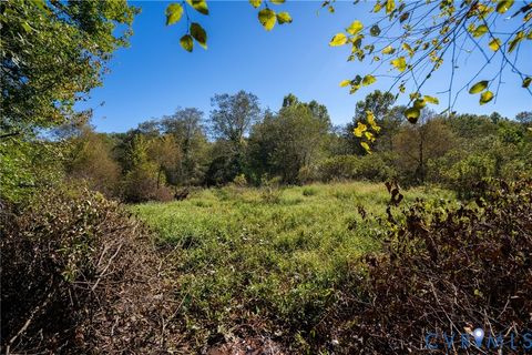 Tiny photo for 00 Beaver Dam Road, Beaverdam, VA 23015 (MLS # 2600532)