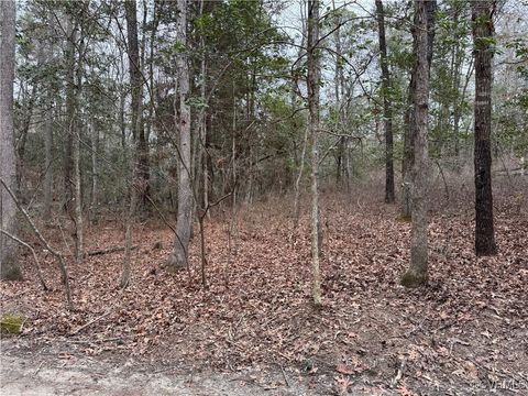 Tiny photo for 00 Poindexter Road, New Kent, VA 23124 (MLS # 2506338)