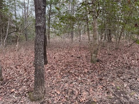 Tiny photo for 00 Poindexter Road, New Kent, VA 23124 (MLS # 2506338)