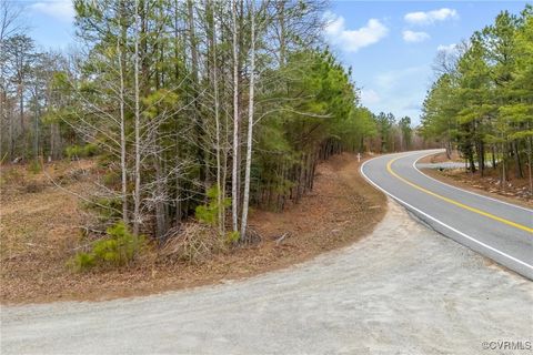 Tiny photo for 00 Poindexter Road, New Kent, VA 23124 (MLS # 2506338)