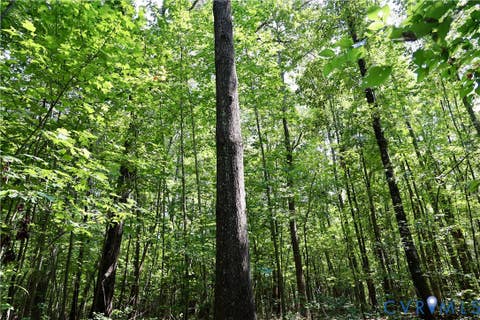 Tiny photo for 0 Bellevue Road, Halifax, VA 24588 (MLS # 2622824)
