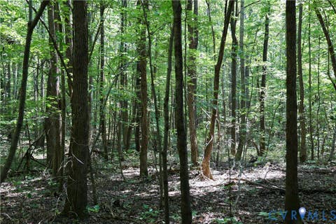 Tiny photo for 0 Bellevue Road, Halifax, VA 24588 (MLS # 2622824)