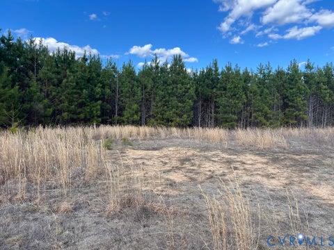 Tiny photo for 000 Cox -460 Business Road, Blackstone, VA 23824 (MLS # 2618904)