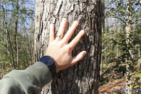 Tiny photo for 000 Watkins Forest Road, Chase City, VA 23924 (MLS # 2605945)