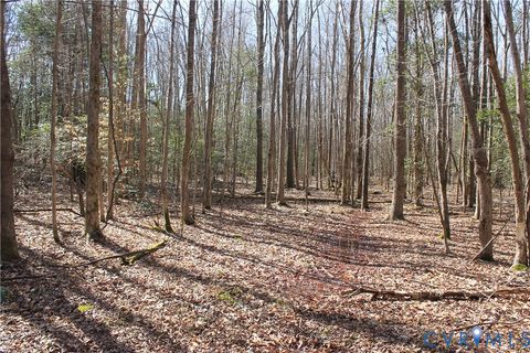 Tiny photo for 000 Watkins Forest Road, Chase City, VA 23924 (MLS # 2605945)