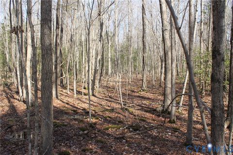 Tiny photo for 000 Watkins Forest Road, Chase City, VA 23924 (MLS # 2605945)