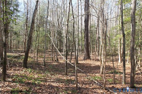 Tiny photo for 000 Watkins Forest Road, Chase City, VA 23924 (MLS # 2605945)