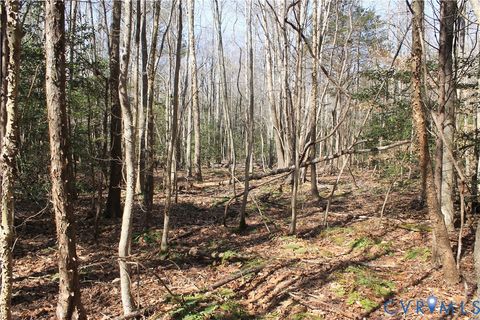 Tiny photo for 000 Watkins Forest Road, Chase City, VA 23924 (MLS # 2605945)