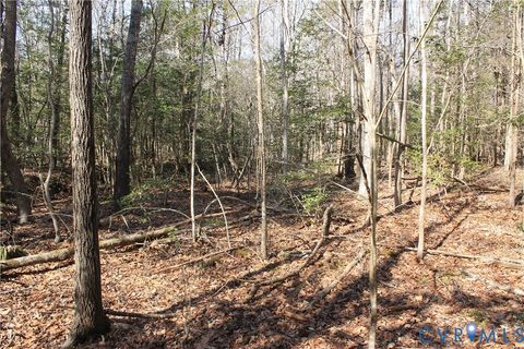 Tiny photo for 000 Watkins Forest Road, Chase City, VA 23924 (MLS # 2605945)