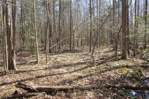 Tiny photo for 000 Watkins Forest Road, Chase City, VA 23924 (MLS # 2605945)