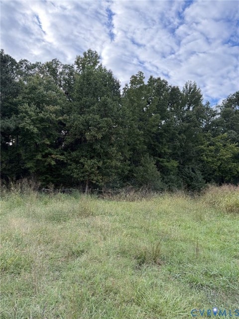 Tiny photo for 15203 Breedens Road, Doswell, VA 23047 (MLS # 2626672)