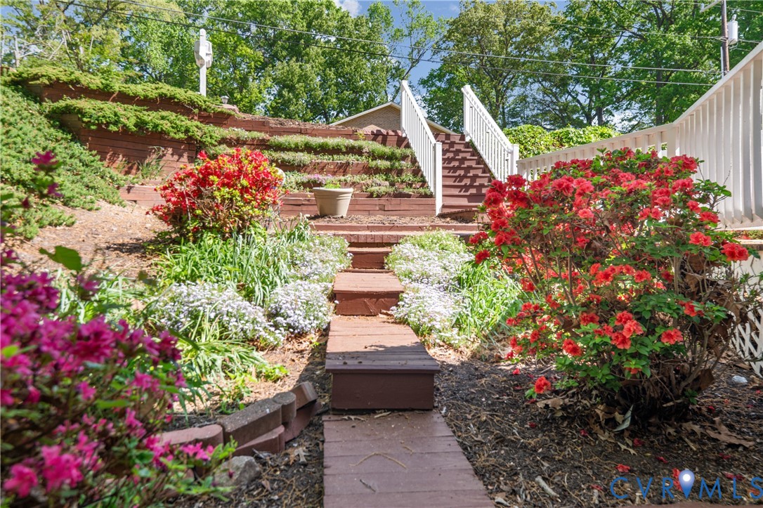 1119 Elmwood Drive