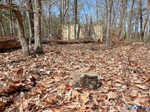 Tiny photo for 116.32 Acres Gilliam Mill Road, Dillwyn, VA 23936 (MLS # 2610794)