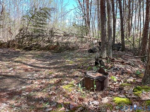 Tiny photo for 116.32 Acres Gilliam Mill Road, Dillwyn, VA 23936 (MLS # 2610794)