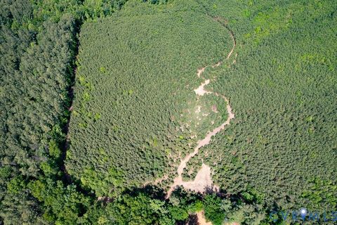 Tiny photo for 116.32 Acres Gilliam Mill Road, Dillwyn, VA 23936 (MLS # 2610794)