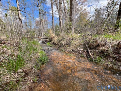 Tiny photo for 116.32 Acres Gilliam Mill Road, Dillwyn, VA 23936 (MLS # 2610794)
