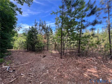 Tiny photo for 116.32 Acres Gilliam Mill Road, Dillwyn, VA 23936 (MLS # 2610794)