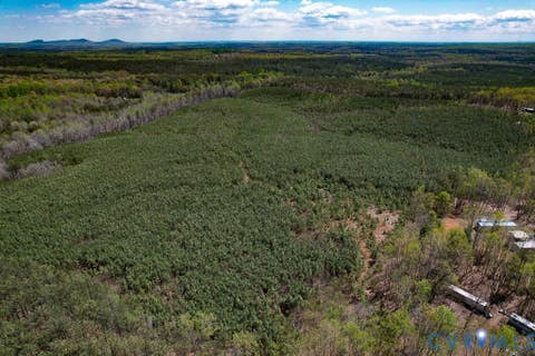 Tiny photo for 116.32 Acres Gilliam Mill Road, Dillwyn, VA 23936 (MLS # 2610794)