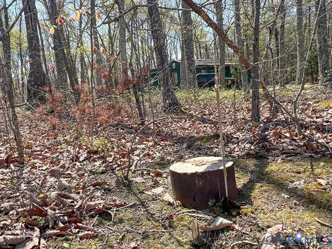 Tiny photo for 116.32 Acres Gilliam Mill Road, Dillwyn, VA 23936 (MLS # 2610794)