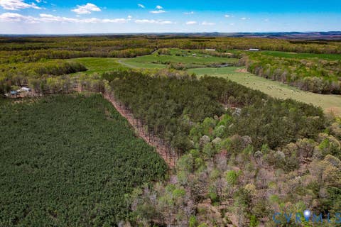Tiny photo for 116.32 Acres Gilliam Mill Road, Dillwyn, VA 23936 (MLS # 2610794)