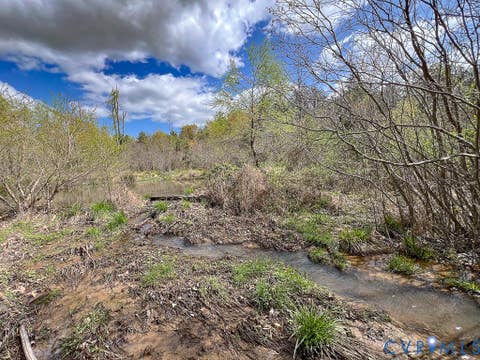 Tiny photo for 116.32 Acres Gilliam Mill Road, Dillwyn, VA 23936 (MLS # 2610794)
