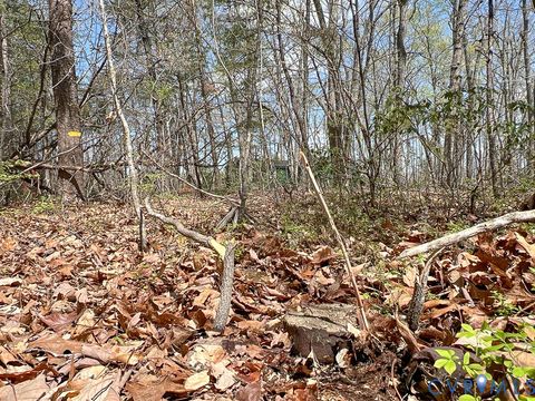 Tiny photo for 116.32 Acres Gilliam Mill Road, Dillwyn, VA 23936 (MLS # 2610794)