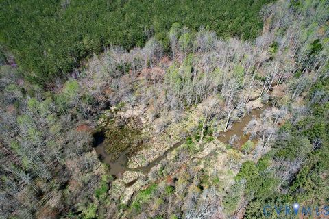 Tiny photo for 116.32 Acres Gilliam Mill Road, Dillwyn, VA 23936 (MLS # 2610794)