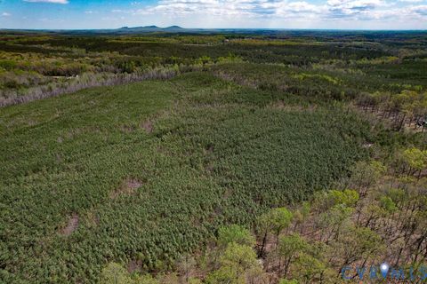 Tiny photo for 116.32 Acres Gilliam Mill Road, Dillwyn, VA 23936 (MLS # 2610794)