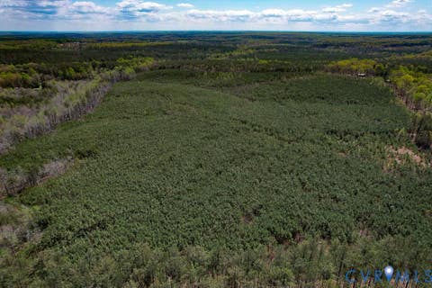 Tiny photo for 116.32 Acres Gilliam Mill Road, Dillwyn, VA 23936 (MLS # 2610794)