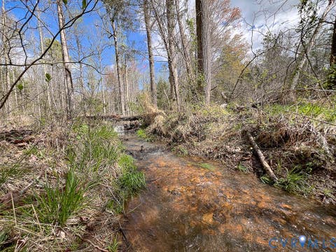 Tiny photo for 116.32 Acres Gilliam Mill Road, Dillwyn, VA 23936 (MLS # 2610794)