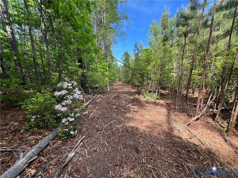 Tiny photo for 116.32 Acres Gilliam Mill Road, Dillwyn, VA 23936 (MLS # 2610794)