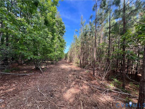 Tiny photo for 116.32 Acres Gilliam Mill Road, Dillwyn, VA 23936 (MLS # 2610794)