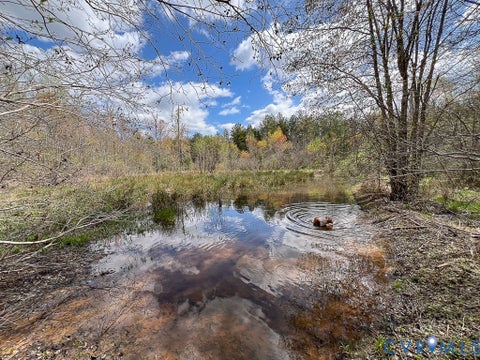 Tiny photo for 116.32 Acres Gilliam Mill Road, Dillwyn, VA 23936 (MLS # 2610794)