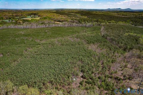 Tiny photo for 116.32 Acres Gilliam Mill Road, Dillwyn, VA 23936 (MLS # 2610794)