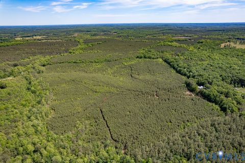 Tiny photo for 116.32 Acres Gilliam Mill Road, Dillwyn, VA 23936 (MLS # 2610794)
