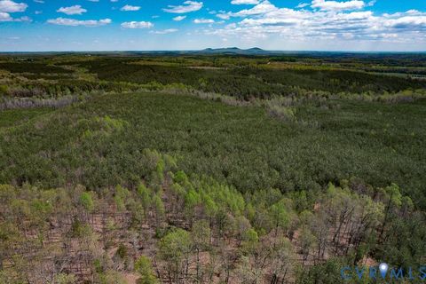 Tiny photo for 116.32 Acres Gilliam Mill Road, Dillwyn, VA 23936 (MLS # 2610794)