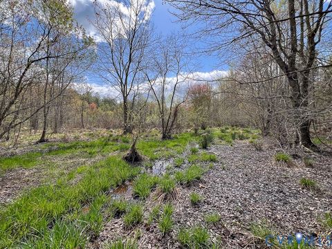 Tiny photo for 116.32 Acres Gilliam Mill Road, Dillwyn, VA 23936 (MLS # 2610794)