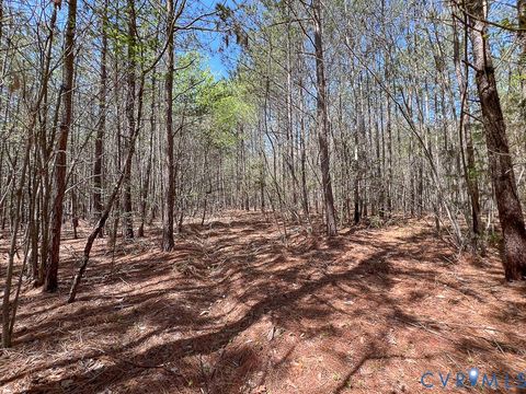 Tiny photo for 116.32 Acres Gilliam Mill Road, Dillwyn, VA 23936 (MLS # 2610794)