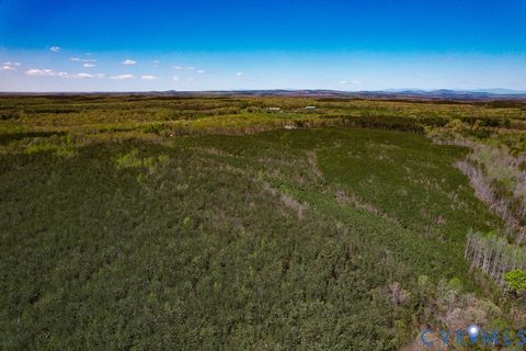 Tiny photo for 116.32 Acres Gilliam Mill Road, Dillwyn, VA 23936 (MLS # 2610794)