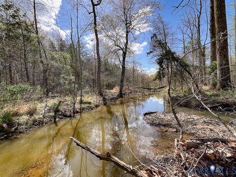 Tiny photo for 116.32 Acres Gilliam Mill Road, Dillwyn, VA 23936 (MLS # 2610794)