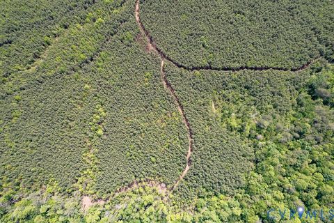 Tiny photo for 116.32 Acres Gilliam Mill Road, Dillwyn, VA 23936 (MLS # 2610794)