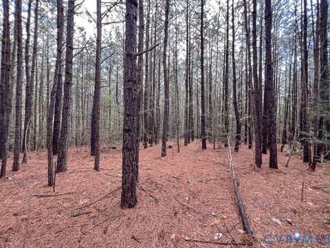 Tiny photo for 116.32 Acres Gilliam Mill Road, Dillwyn, VA 23936 (MLS # 2610794)