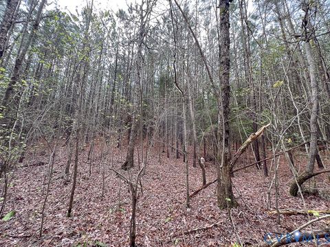 Tiny photo for 116.32 Acres Gilliam Mill Road, Dillwyn, VA 23936 (MLS # 2610794)