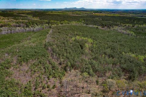 Tiny photo for 116.32 Acres Gilliam Mill Road, Dillwyn, VA 23936 (MLS # 2610794)
